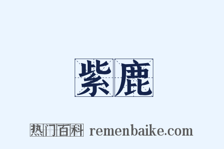 紫鹿是什么意思的图片